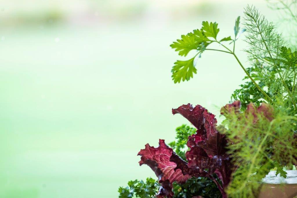 Middelwater Farm Hotel Bloemfontein Ngoại thất bức ảnh